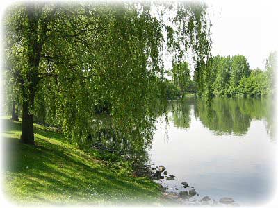 Parc du hron